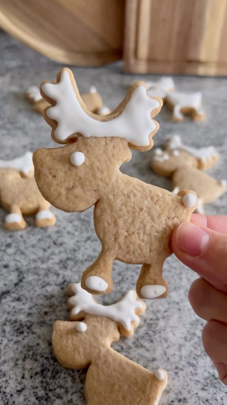 Christmas Moose Cookies