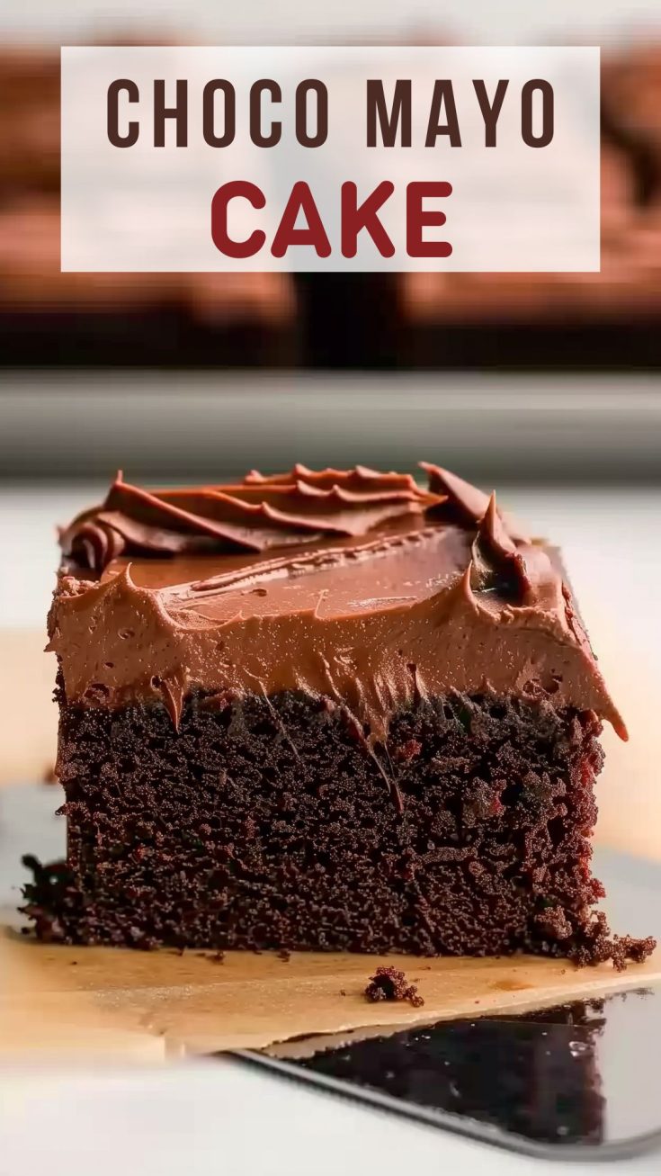 Choco Mayonnaise Cake