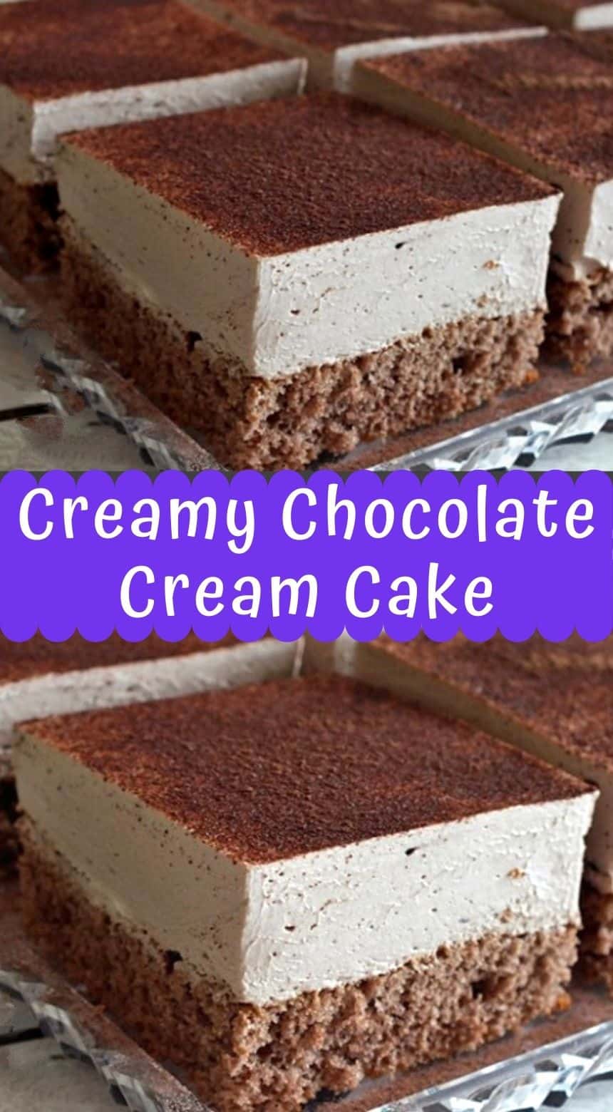 Easy and Delicious Chocolate Cream Cake