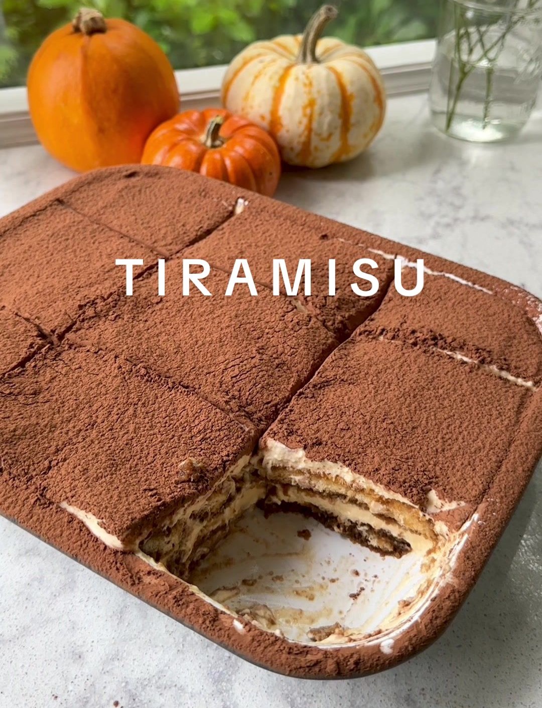 Delicious Tiramisu