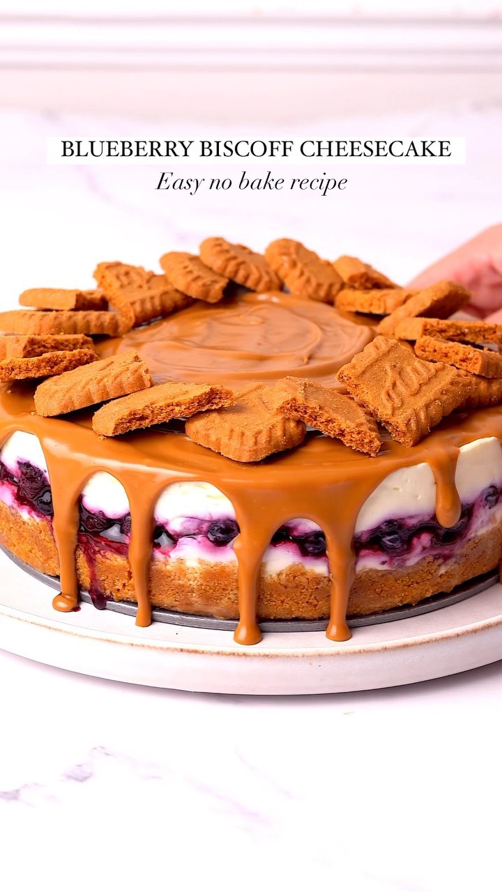 Blueberry Biscoff Cheesecake